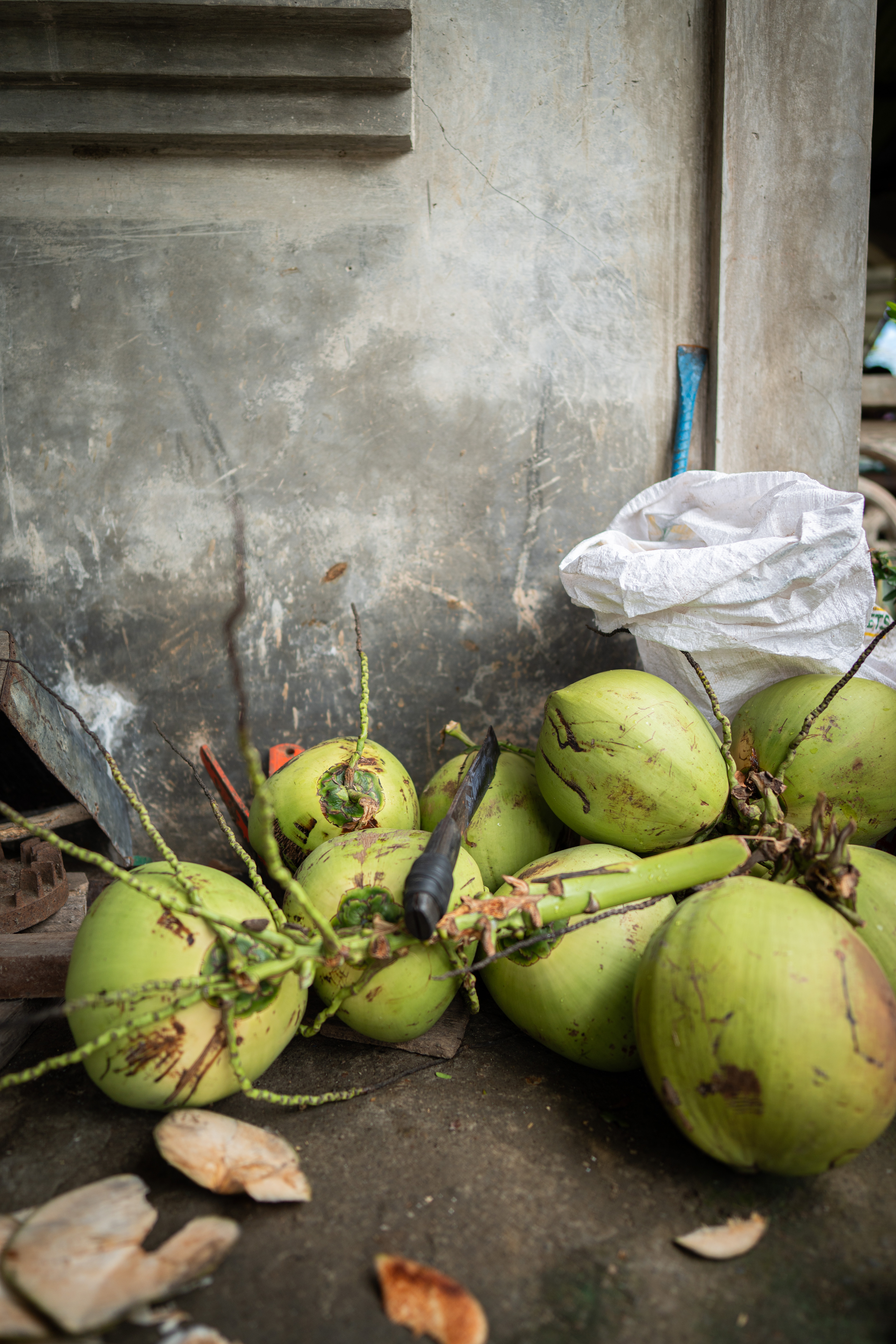 Pile of fresh green coconuts
